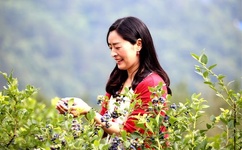 444be奇米影视第四色